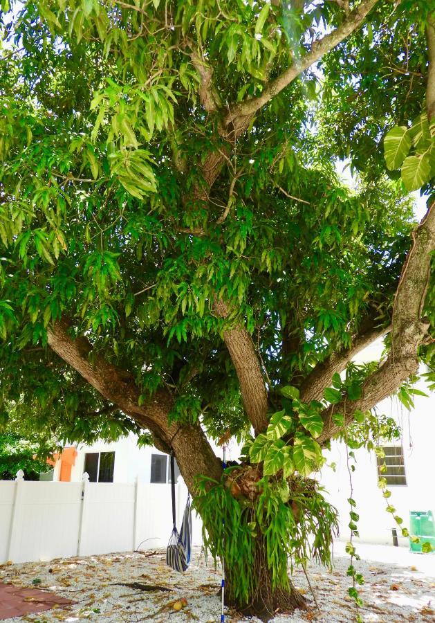 Enchanting Cozy Apartment 10 Min Away From Airport, Calle 8, Brickell, Coral Gables, The Beach And More! Майами Экстерьер фото